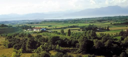 foto panoramica agriturismo Monte Vento